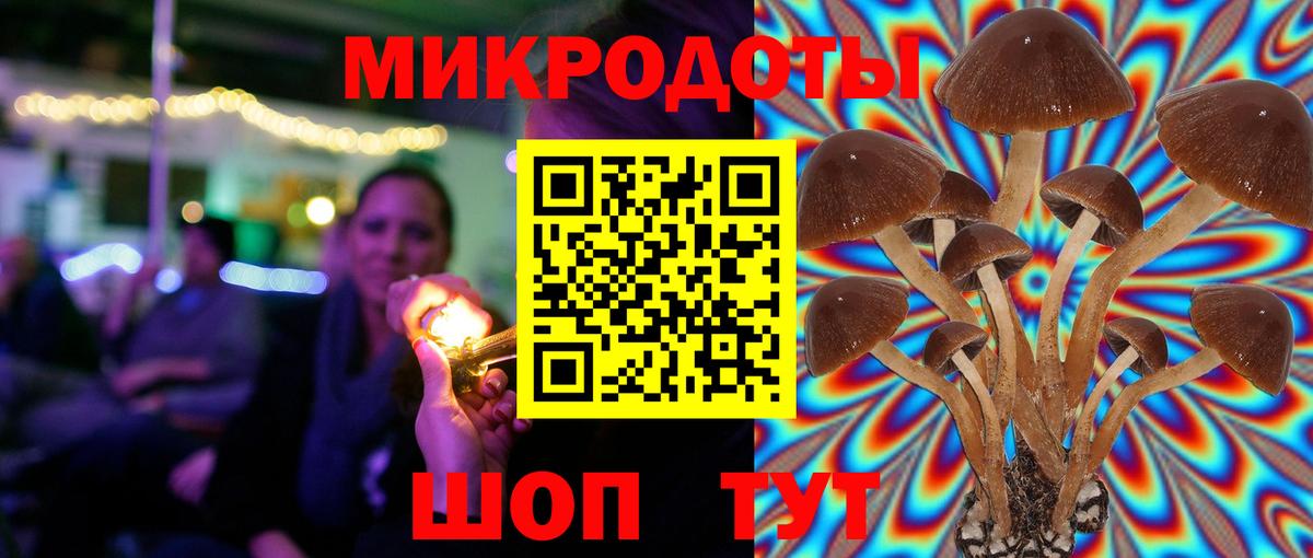 Галлюциногенные грибы Psilocybine cubensis  Вход с VPN  Избербаш  Псилоцибиновые грибы мицелий 
